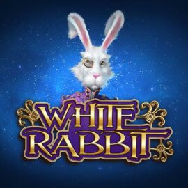 Slot White Rabbit: come giocare